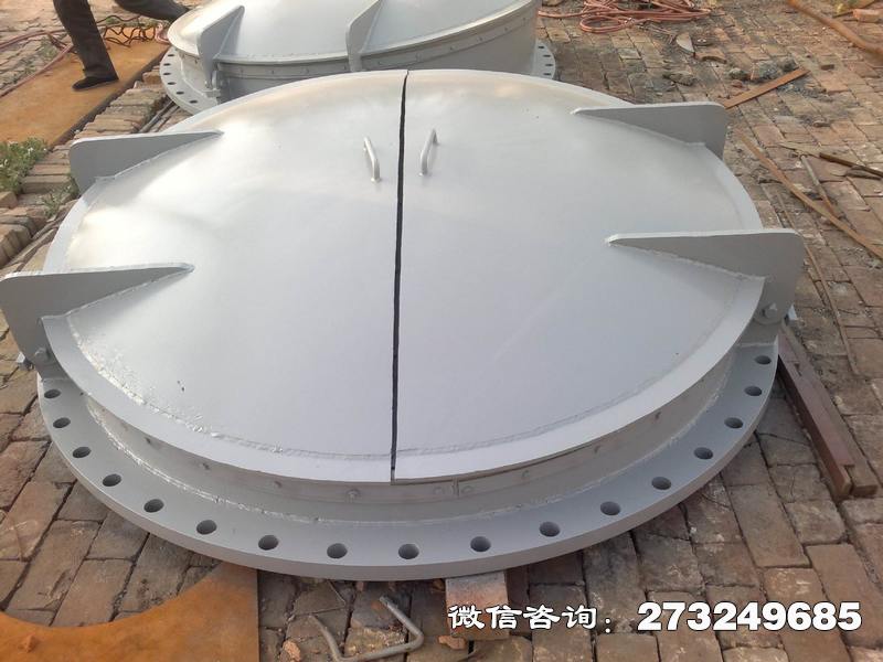 復(fù)合材料拍門(mén)