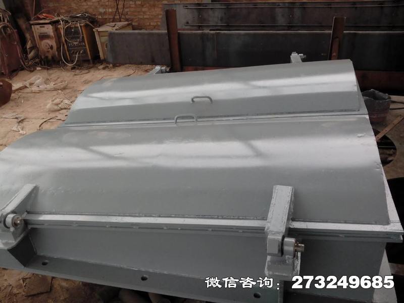 康縣弧形側(cè)開鋼制拍門