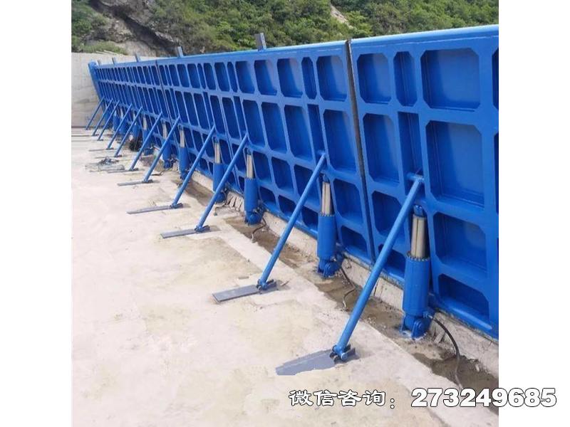 康縣水利翻板閘門